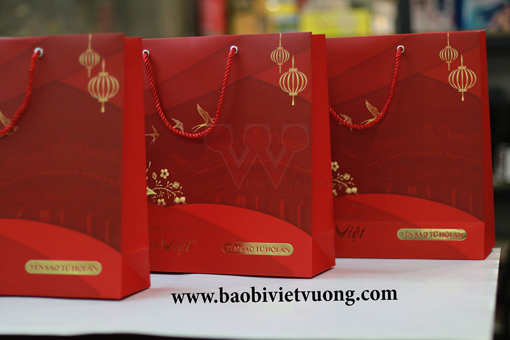 Bộ sưu tập mẫu túi giấy hàng sẵn kho 2024 tại In Việt Vương